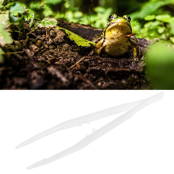 Soimiss reptiles feeding tweezers Tweezers White PP for Feeding 1Set