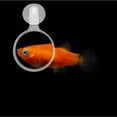 thumbnail image 3 of SHISUYAN Fish Tank Viewer 1Pcs with Acrylic Material for Underwater Observation, 3 of 7