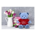 thumbnail image 5 of DolliBu I LOVE YOU Super Soft Baby Blue Bear Plush- Cute Stuffed Blue Bear Animal with Red Shirt For Valentine, Anniversary, Romantic Date, Boyfriend, or Girlfriend Gift - 8 inches, 5 of 6