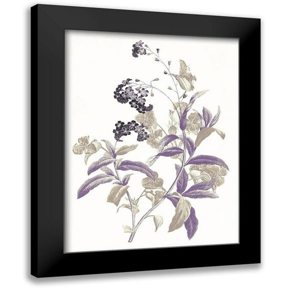 Grey, Jace 12x14 Black Modern Framed Museum Art Print Titled - Lavender Flowers Two