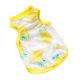thumbnail image 1 of Lo último en moda: Viste a tu mascota a la perfección con nuestra ropa, 1 of 5