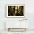 thumbnail image 6 of In the Woods at Puffers Pond, Amherst 02 - Amherst Massachusetts Photography Forest Nature Woodland Scenic Lake Sunset Wilderness Unframed Wall Art Print 20 x 30 inches, 6 of 7