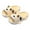 White, variant on Otqutp Casual Baby Girls Shoes Cute Boys Summer Cartoon Puppy Cute Non Slip Indoor Home Small Cool Slippers for 2 to 9 Years