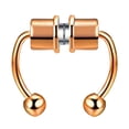 thumbnail image 3 of Anillo  de acero inoxidable magnético herraduras no Piercing 1 juego jinwen  aro de anillo de nariz de joyería, 3 of 7