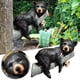 thumbnail image 2 of Figura de oso negro durmiendo la siesta en un árbol, decoración para exteriores, osito bebé en un árbol, para jardín, 2 of 7