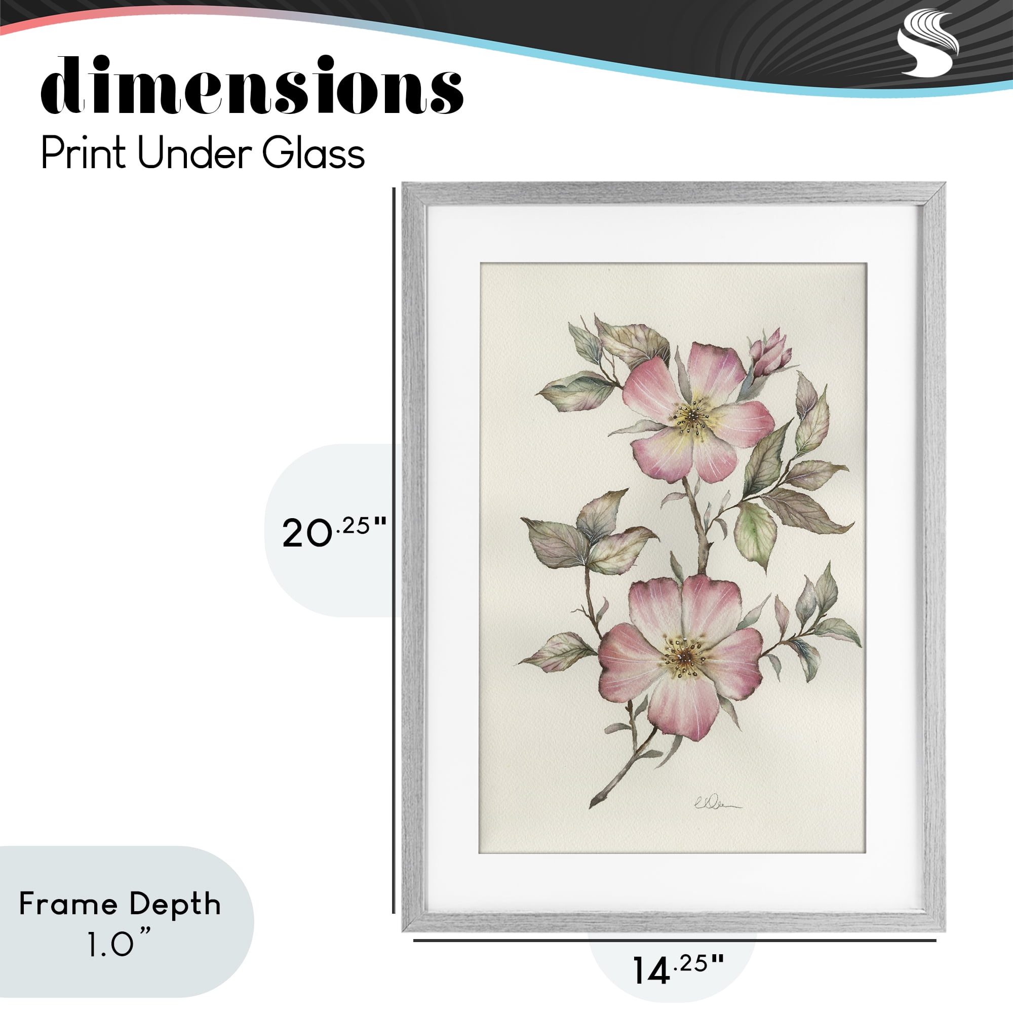 Stupell Industries Two Flowers Natural Study Gray Framed Print Under Glass, design by Cady Driver
