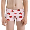 thumbnail image 5 of Yiaed Strawberry Print Boys' Boxer Briefs Cotton Casual Stretch Comfort Boys Boxers - Kids Boxer Briefs Underwear for Boys (6-18)-Small, 5 of 5