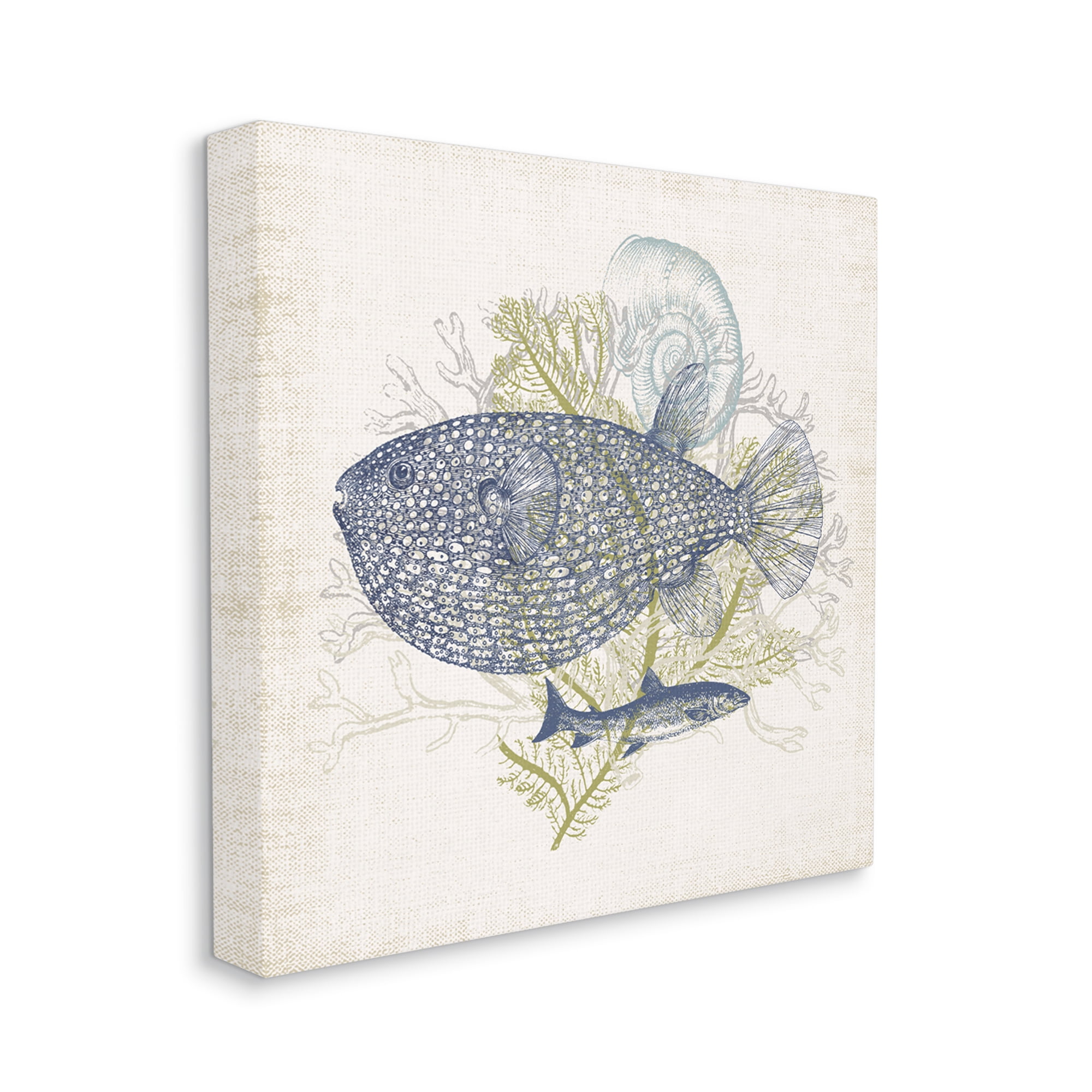 Stupell Industries Aquatic Sea Life Rustic Seashell Layered Fish Graphic Art Gallery Wrapped Canvas Print Wall Art, Design by Victoria Barnes