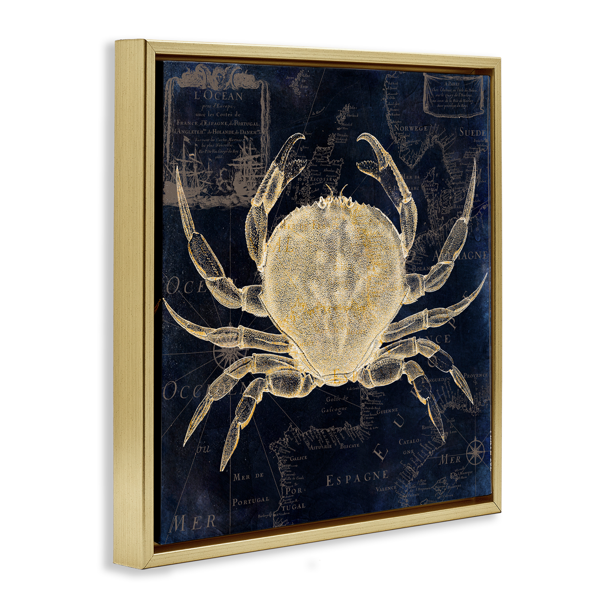 Crab Contour over Map Gold Framed Floater Canvas Wall Art, design by Sasha