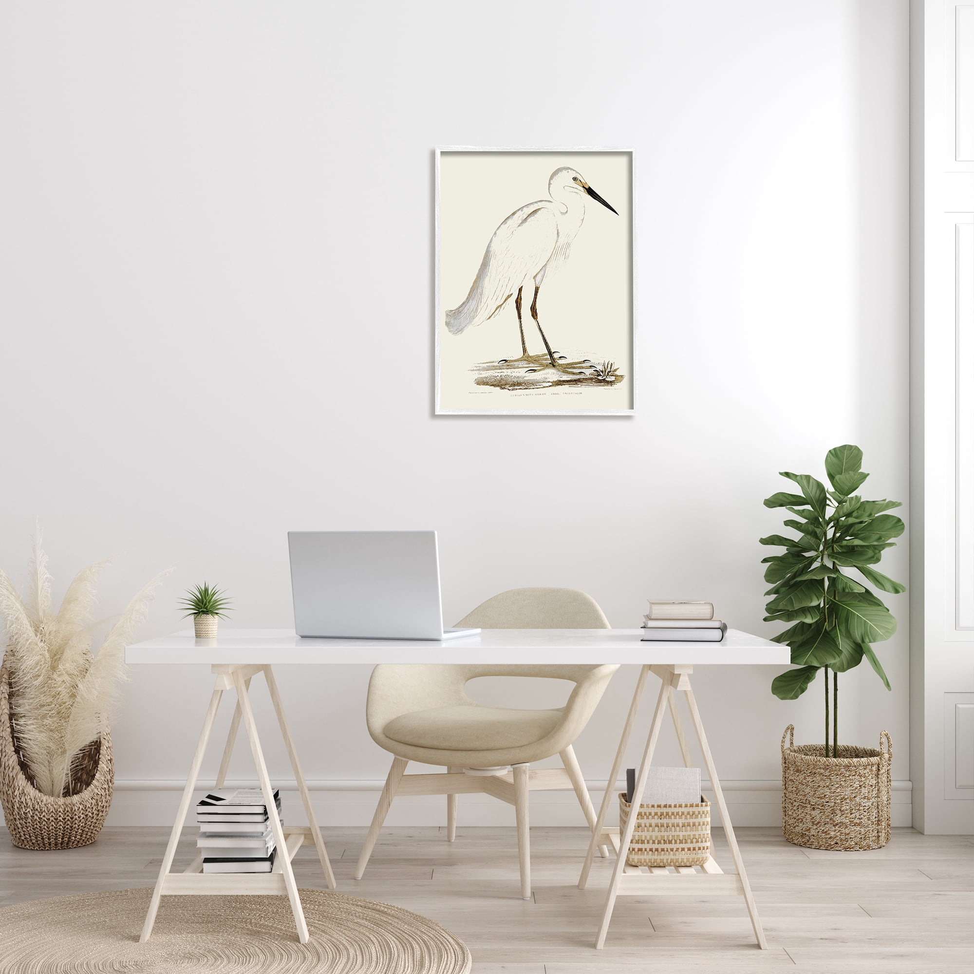 Stupell Industries Vintage Egret Latin Study Marsh Bird Illustration, 24 x 30, Designed by Daphne Polselli