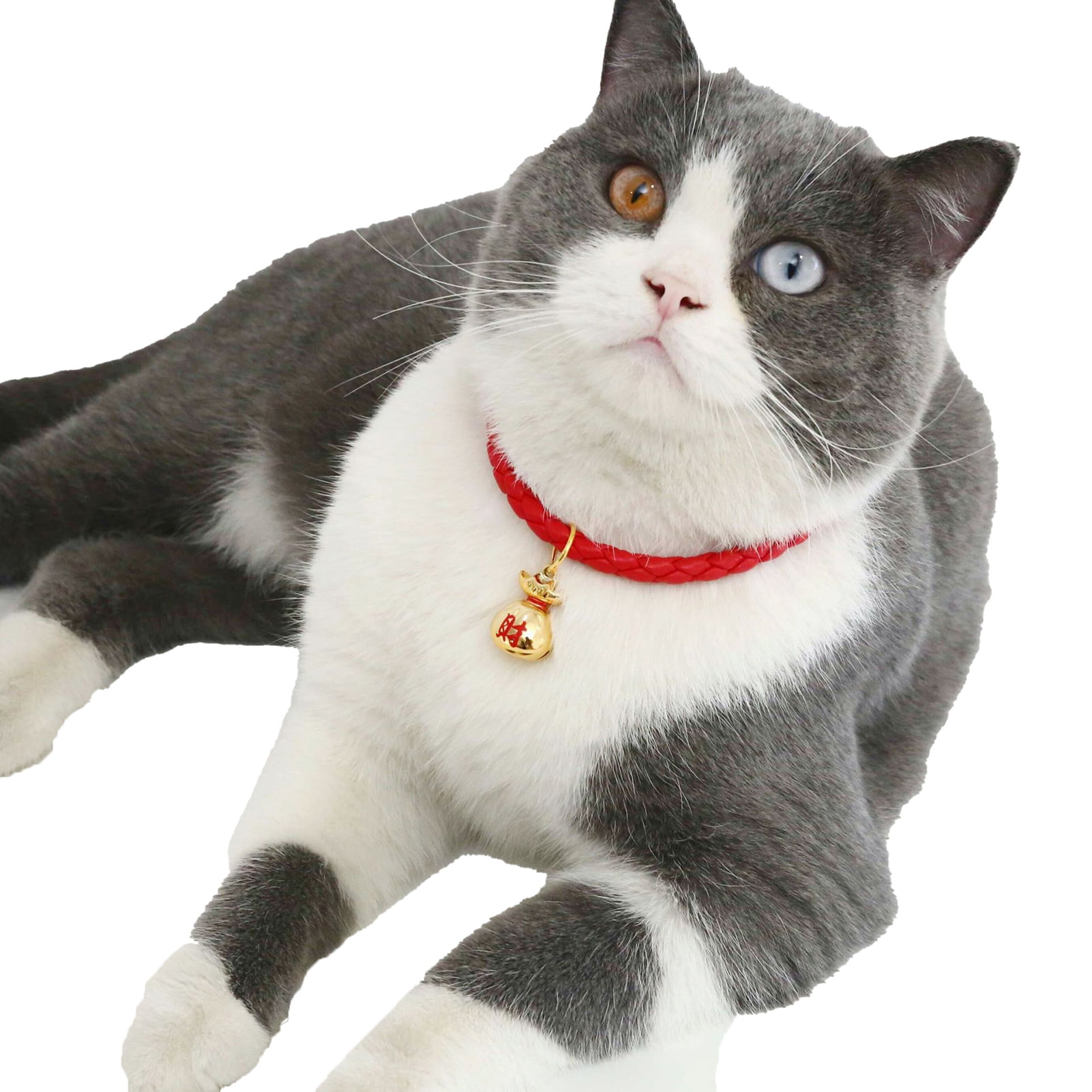 Walbest Cat Collar with Bell Lucky Bag Lantern Basic Dog Cat Collar  Adjustable Acrylic Fiber Cat Dog Collar 