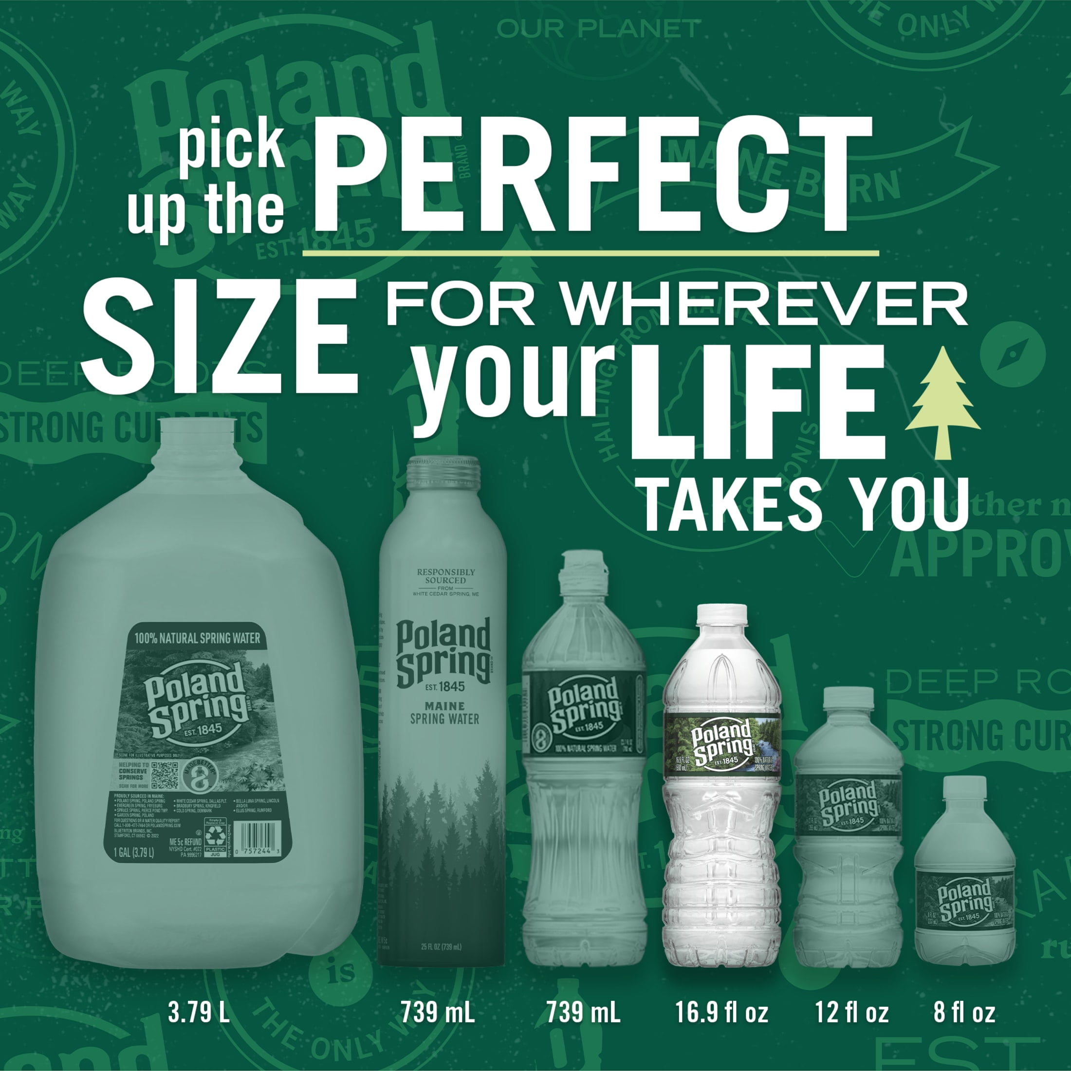 Poland Spring Maine Spring Water, 16.9 Fl Oz, 24-Pack Plastic Bottles