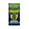 Pennington Pennington 100543707 Grass Seed, 7 Lb
