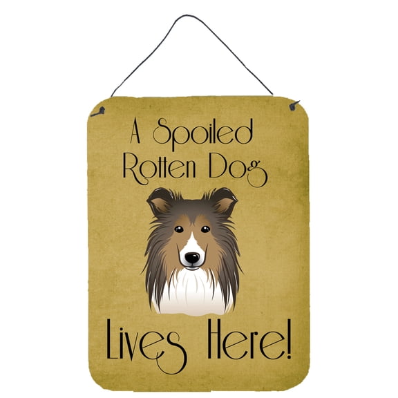 Caroline's Treasures BB1490DS1216 Sheltie Spoiled Dog Lives Here Wall or Door Hanging Prints, 12x16, multicolor