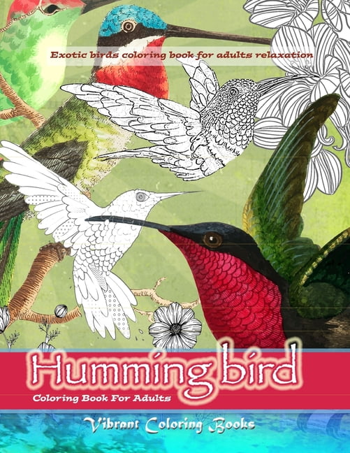 Download Humming Bird Coloring Book For Adults Exotic Birds Colorng Book For Adults Relaxation Paperback Walmart Com Walmart Com