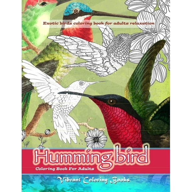 Download Humming Bird Coloring Book For Adults Exotic Birds Colorng Book For Adults Relaxation Paperback Walmart Com Walmart Com