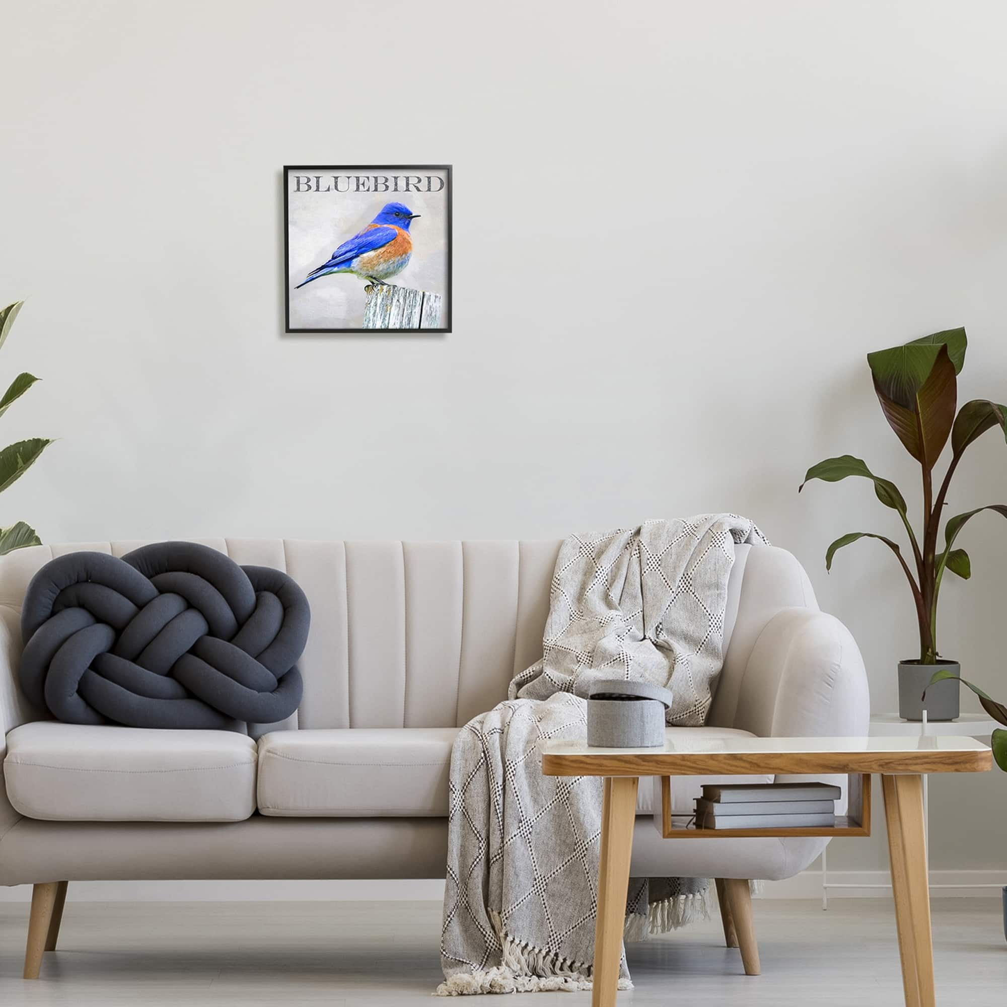 Stupell Industries Vivid Bluebird Standing Birch Tree Rustic Text Framed Wall Art, 24 x 24, Design by Alpenglow Workshop
