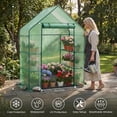 thumbnail image 3 of Greenhouse for Outdoors,55 x 28 78'' Small Greenhouse,Walk in Plant Greenhouses with 3 Tiers 6 Shelves,Heavy Duty Durable PE Cover,Heavy Garden and Backyard, 3 of 5