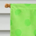 thumbnail image 3 of Carolines Treasures BB8225CHF Sea Gull Green Polkadot Flag Canvas House Size  Large multicolor, 3 of 4
