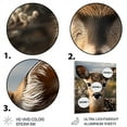 thumbnail image 3 of Designart "Photo Selfie Antelope " Animals Antelope Metal Art Living Room, 3 of 5