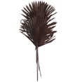 thumbnail image 5 of 26" Handmade Large Sun Palm Spear Dried Plant Natural Foliage Palm Leaf Bouquet, by DecMode, 5 of 8