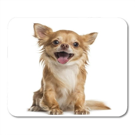 KDAGR Dog Happy Chihuahua Years Old Pet White People Mousepad Mouse Pad Mouse Mat 9x10