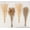 100PCS-Beige, variant on Pakyozj Natural Dried Pampas Grass Decor, 110 PCS Pampas Grass Contains White Bunny Tails Dried Flowers, Artificial Flowers for Bathroom Decor, Bathroom Wall Decor, Office Decor and Baby Shower Decor