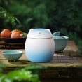 thumbnail image 5 of Living Room Storage Steam-Proof Sealed Storage Jar Mini Portable Travel Tea Jar Portable Tea Storage In Family Living Room, 5 of 5