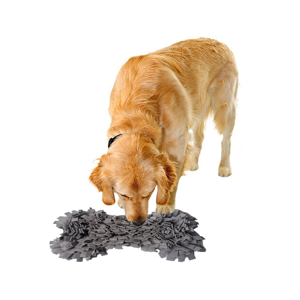 walmart pet supplies