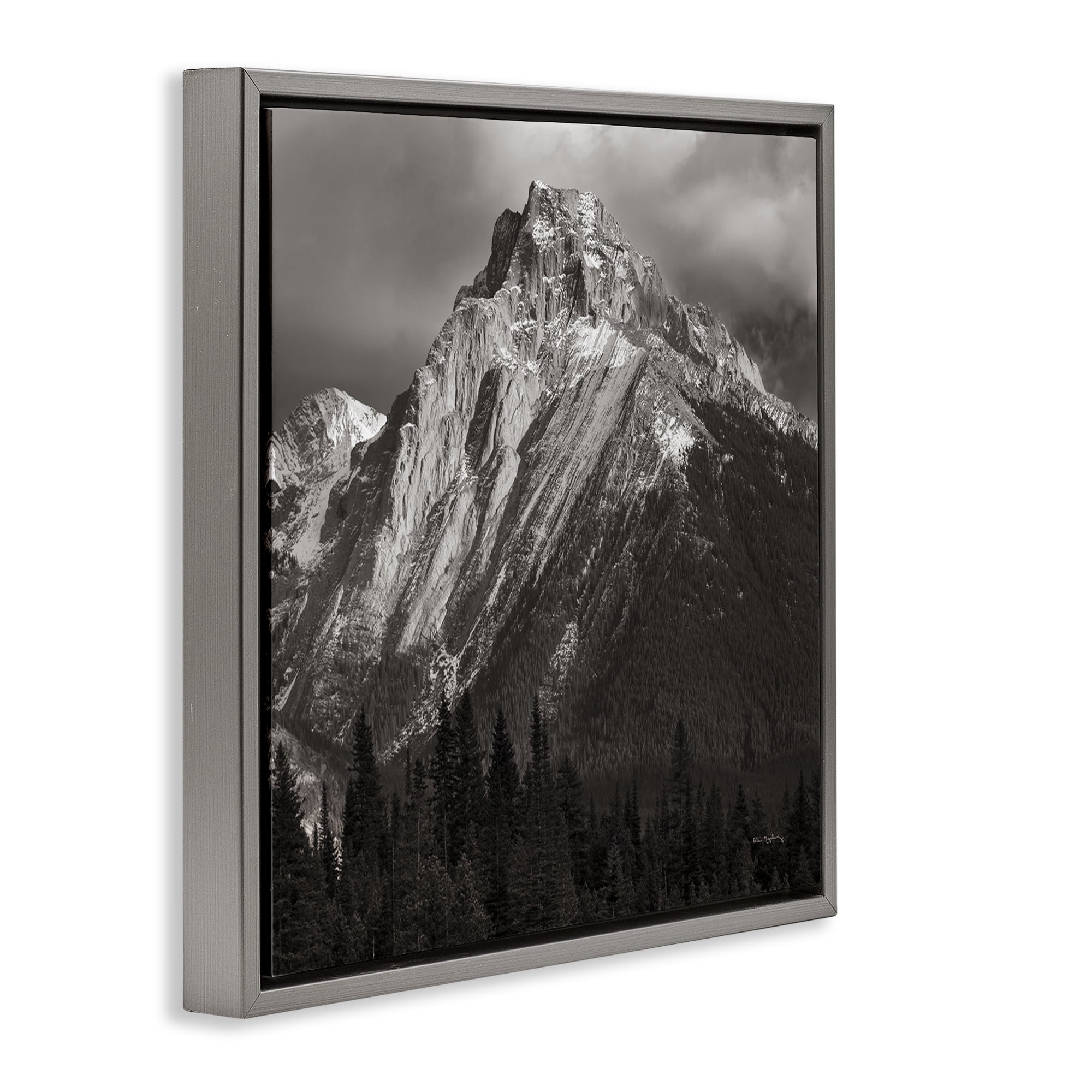 Stupell Industries Canadian Rockies View Landscape & Nature Photography Gray Floater Framed Canvas Art Print Wall Art, 18 x 18