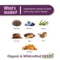 thumbnail image 4 of Amber NaturalZ Reptaid Immune Support for Small Reptiles | For Reptiles Under 250g 1oz, 4 of 7