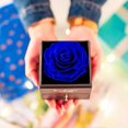 thumbnail image 3 of 2024 Suitable Preserved Fresh Flower Rose in a Jewelry Box, Rose Gift Box Eternal Flowers Infinity Rose, 3 of 5