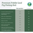 thumbnail image 4 of 100% Organic Fiddle Leaf Fig Soil &ndash; Optimally-Draining Potting Mix for Healthy Roots, Fewer Brown Spots & Faster Growth | Enriched with Bi, 4 of 9