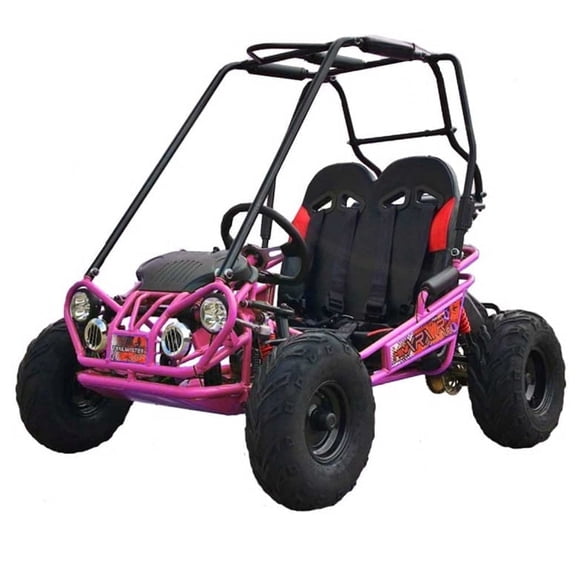 Pink TrailMaster Mini XRX A Upgraded Go Kart with Bigger Tires, Frame, Wider Seat