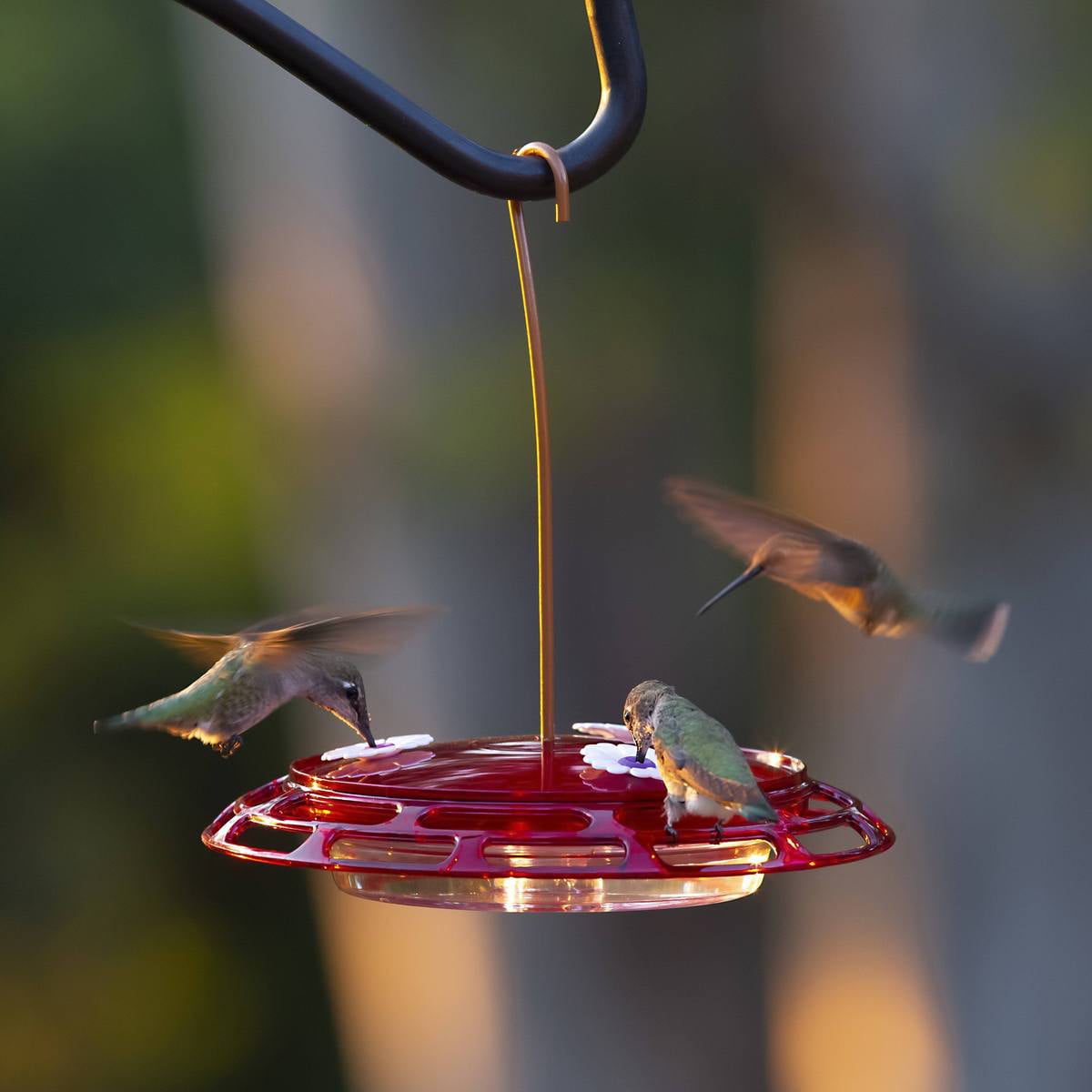 Hummingbird Feeder 3 Feeding Ports Plastic New 6 7/8" High 