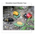 thumbnail image 4 of MesaSe Simulation Insect Plastic Animal Early Growth Preschool Model Miniature Educational Props Cognition Toy for Children, 4 of 9