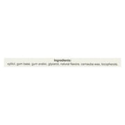 Pur Gum Cinnamon Aspartame Free, 12.6 Grm