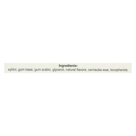 Pur Gum Cinnamon Aspartame Free, 12.6 Grm