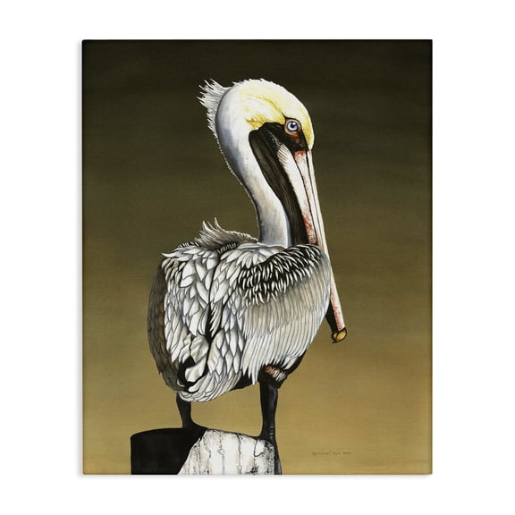 Stupell Industries Traditional Pelican with Intense Gaze Canvas Art, 16 x 20, by Christine Reichow