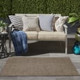 thumbnail image 4 of Nourison Tulum 2' x 3' Brown Outdoor Rug, 4 of 9