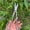 R, variant on Upgraded Gardening Pruning Shears Stainless Steel Scissors Gardening Pruning Branches And Leaves Pruning Flowerpots And Potted Plants R