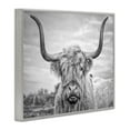 thumbnail image 3 of Stupell Industries Black and White Highland Cow Photograph Gray Framed Art Print Wall Art, 24x30, by Joe Reynolds, 3 of 9