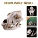 thumbnail image 3 of SGACAI Réplica de cráneo de animal de lobo de nieve de resina, modelo de estatua de Halloween con adorno, 3 of 6