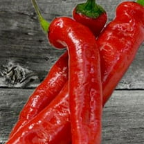 Chile De Arbol Pepper Seeds - 250 mg ~30 Seeds - Non-GMO, Heirloom, Open Pollinated Vegetable Gardening Seeds - Hot Pepper Seeds
