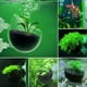 thumbnail image 2 of 32 Vasos para Plantas Acuáticas, Maceta Acrílica Transparente para Plantas Acuáticas con Succión, Decoración de Acuario, 2 Formas, 2 of 7