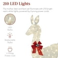 Best Choice Products 2Piece Lighted Christmas Deer Set Outdoor Yard