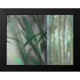 thumbnail image 2 of Franklin 24x19 Black Modern Framed Museum Art Print Titled - Morning Bamboo I, 2 of 5
