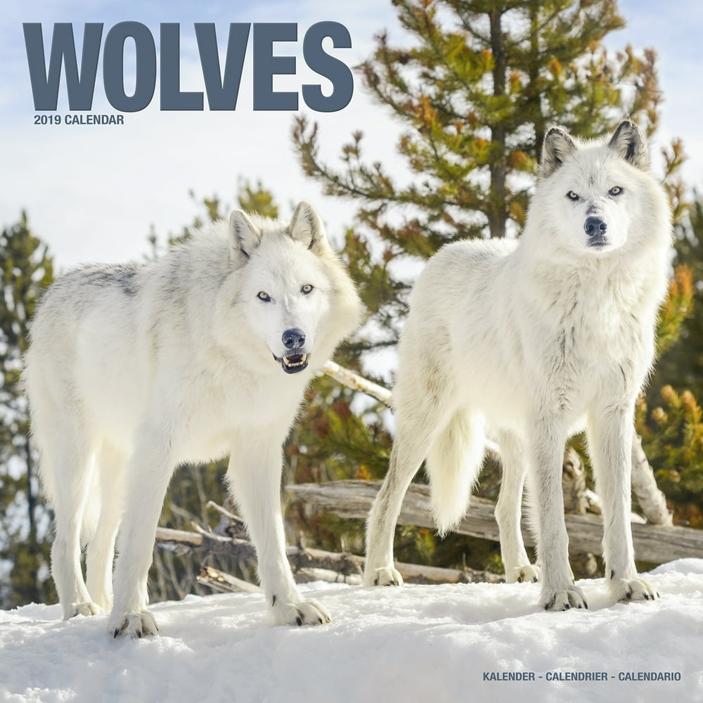 Wolves Wall Calendar 2019