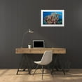 thumbnail image 3 of Shimlock, Jones 24x17 White Modern Wood Framed Museum Art Print Titled - Indonesia, Komodo NP Protected coral reef, 3 of 4