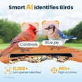 thumbnail image 3 of Comedero inteligente para aves WLNYUGS con cámara solar AI 2.5K UHD, 3 of 8